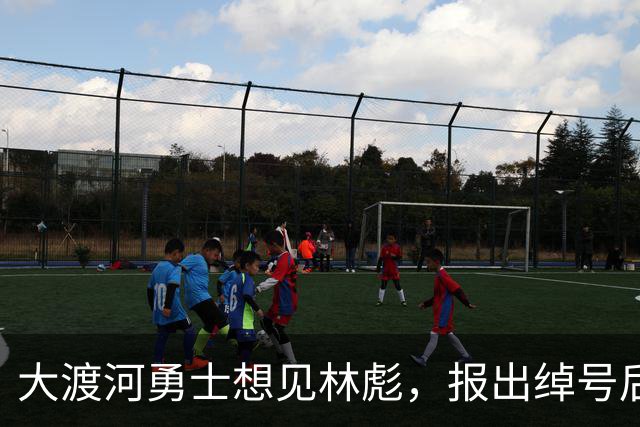 大渡河勇士想见林彪，报出绰号后林彪神色骤变：你来了我能不见吗！