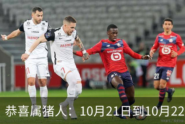 恭喜属猪人：10月21日到10月22日，你盼了很久的囍事终于来了