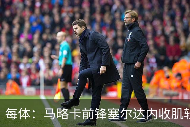 每体：马略卡前锋塞尔达内收肌轻微撕裂，预计缺阵2周