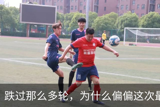 跌过那么多轮，为什么偏偏这次最痛？