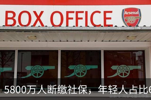 5800万人断缴社保，年轻人占比60%，解析不交社保原因