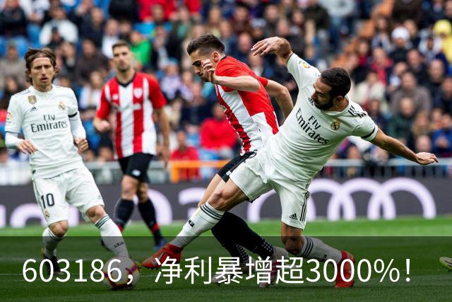 603186，净利暴增超3000%！